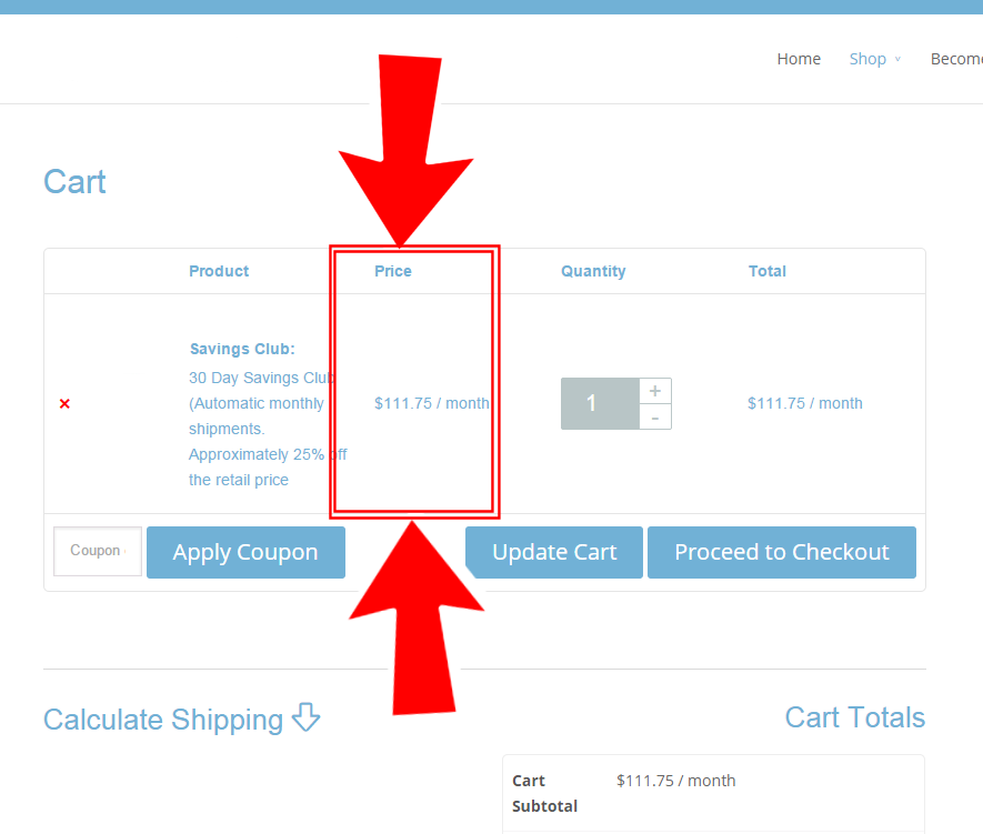 WooCommerce: cómo ocultar las columnas de la tabla del carrito